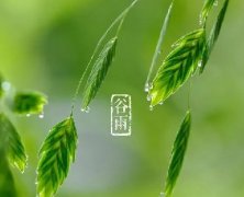 谷雨｜暮春，夏将至。